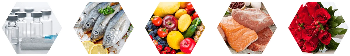 دیتالاگر دما مدل FRESHLIANCE TagPlus-T-60